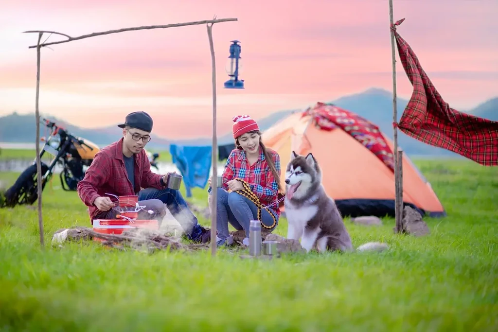 Featured image for Tips for Taking Your Furry Friends on Your Next Camping Adventure