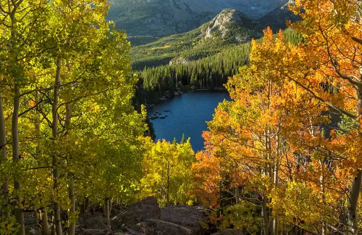 Autumn trees above Bear Lake in Rocky Mountain National Park. 