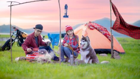 A couple sits by a campfire with their dog in front of a tent at sunset, enjoying a peaceful outdoor camping trip.