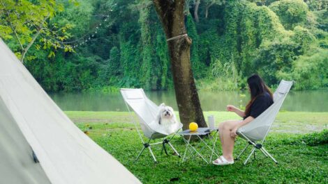 A woman and her small dog relax in chairs by a lake while camping, surrounded by trees and greenery in nature.