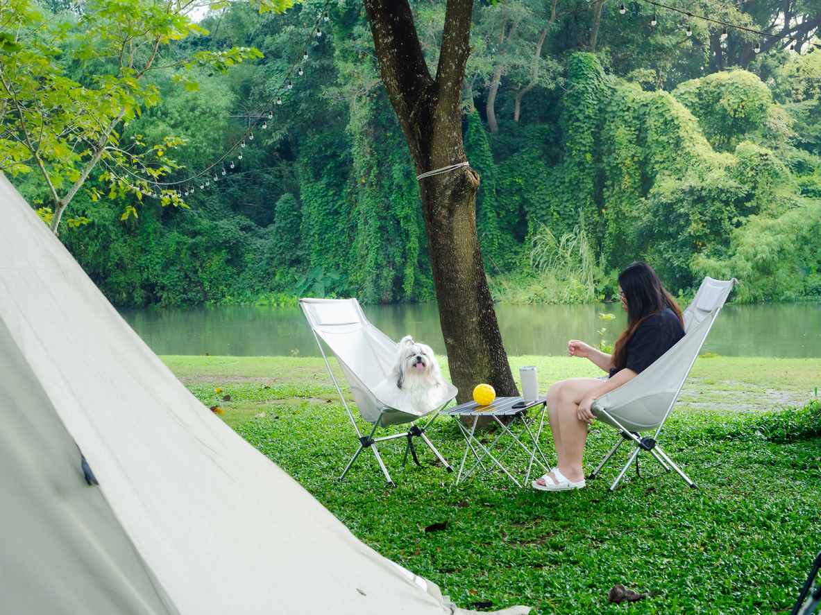 A woman and her small dog relax in chairs by a lake while camping, surrounded by trees and greenery in nature.