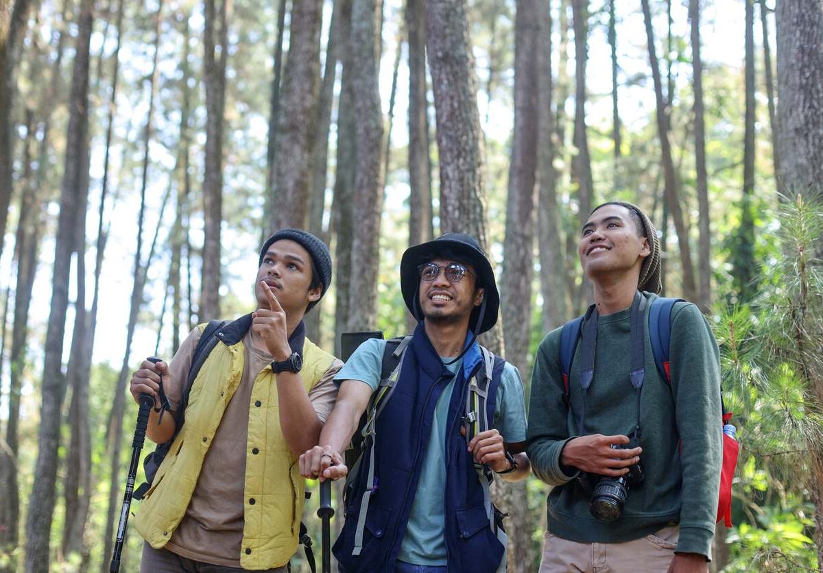 Three hikers with backpacks and trekking poles admire the forest, smiling and looking up at the trees.