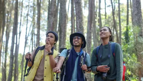 Three hikers with backpacks and trekking poles admire the forest, smiling and looking up at the trees.