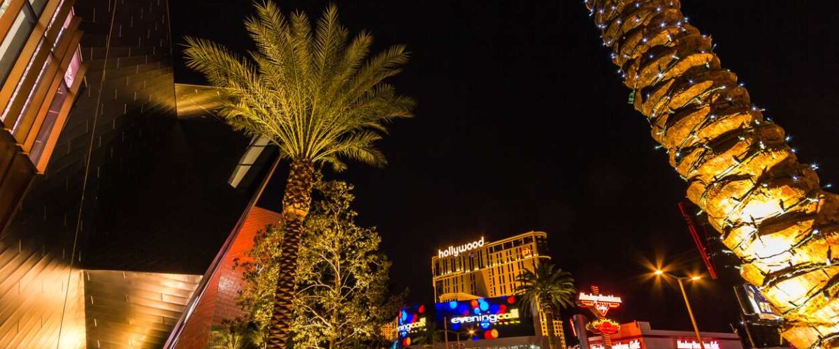 Palm trees glowing at night along the Las Vegas Strip with bright casino lights and modern buildings.