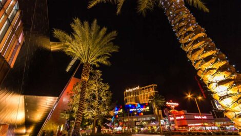 Palm trees glowing at night along the Las Vegas Strip with bright casino lights and modern buildings.